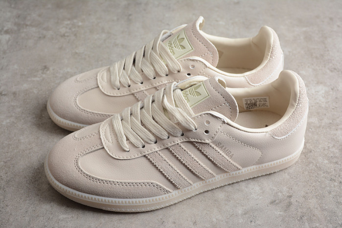 ad low-top sneaker 23031319